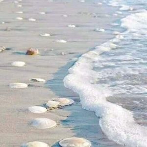 Meet your Posher, Elizabeth